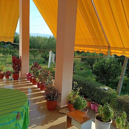 Guest House Fetie Berat Bagian luar foto