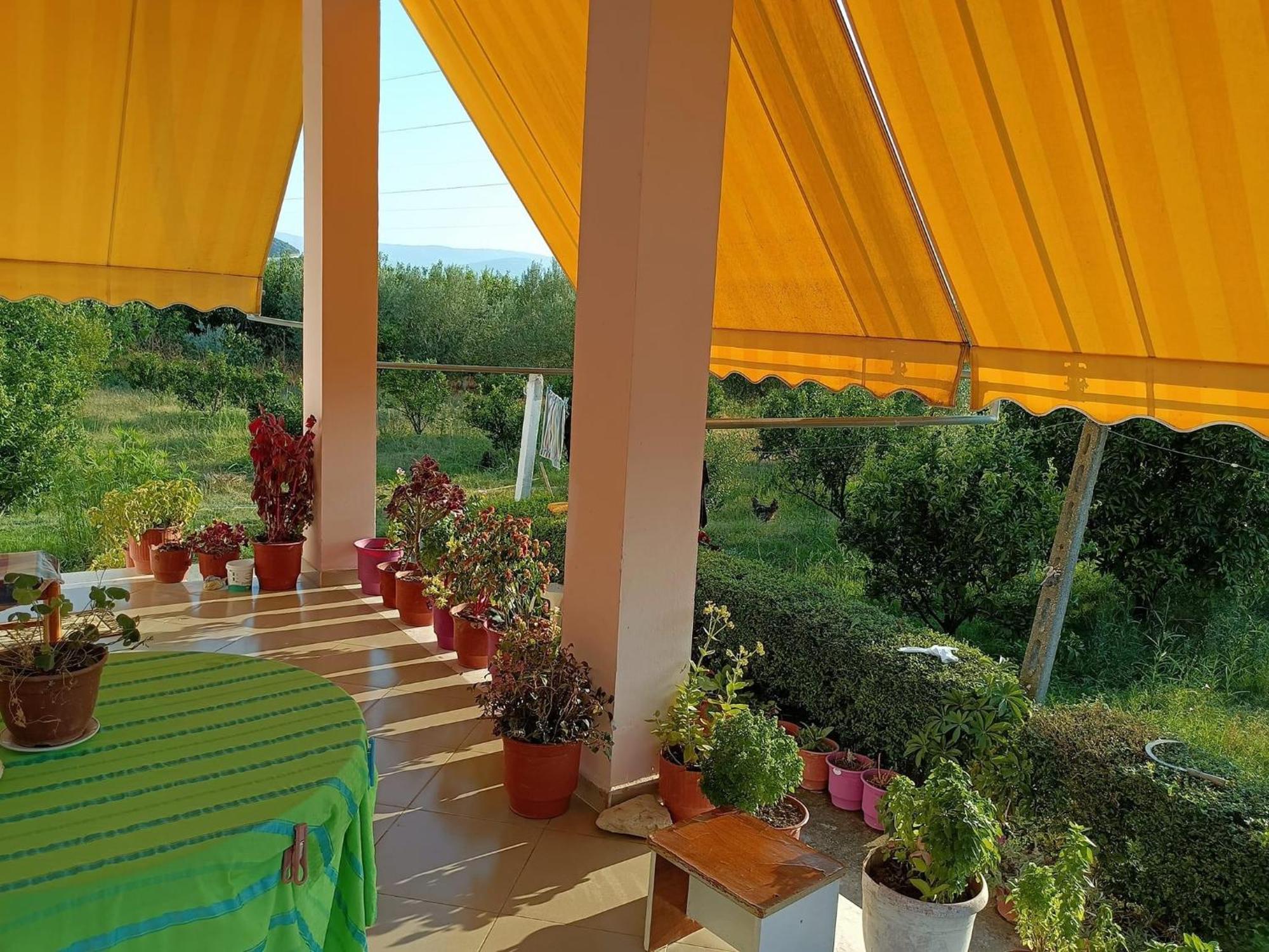 Guest House Fetie Berat Bagian luar foto