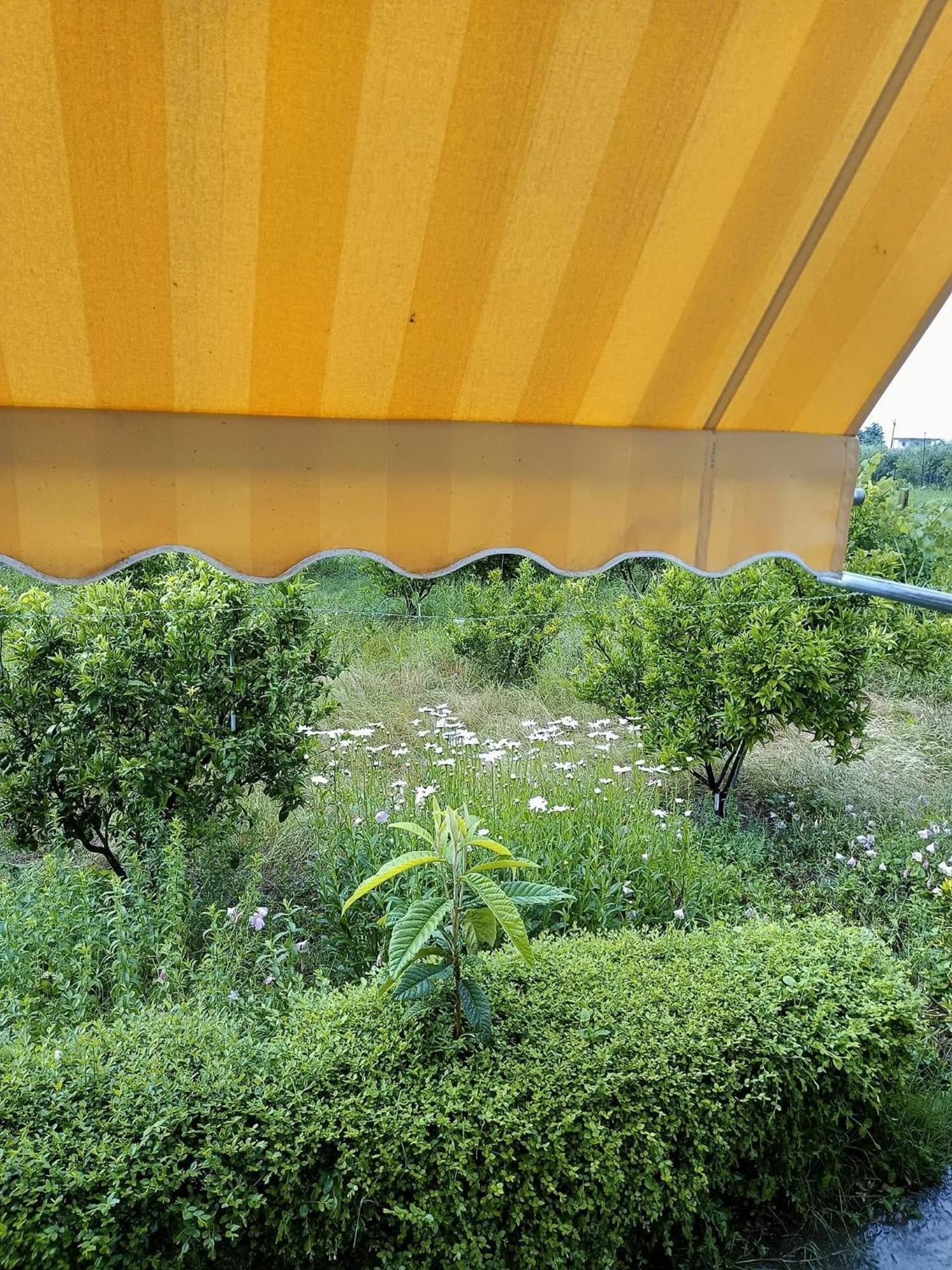 Guest House Fetie Berat Bagian luar foto